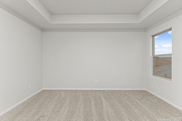 2659 Greenwell Ln, New Braunfels, TX 78130 - empty room with a raised ceiling and carpet