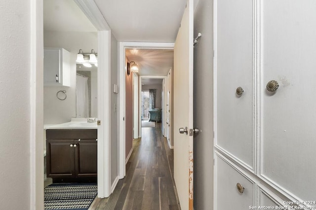 bathroom featuring wood-type flooring and vanity