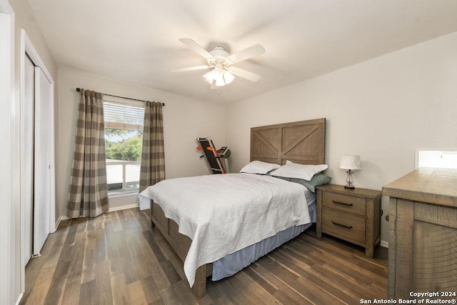 bedroom with dark hardwood / wood-style flooring, a closet, and ceiling fan