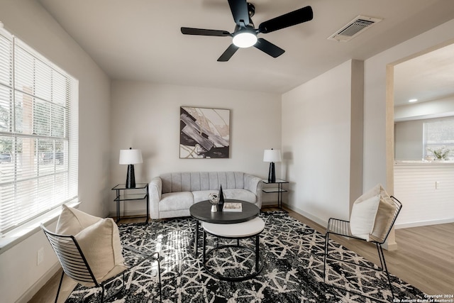 living room with ceiling fan and wood-type flooring