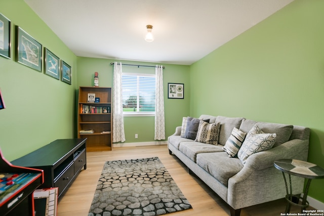 living room featuring light wood-type flooring