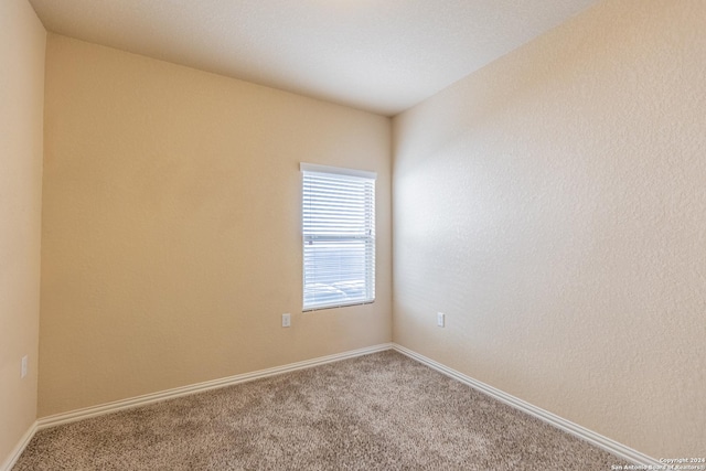 unfurnished room with carpet flooring