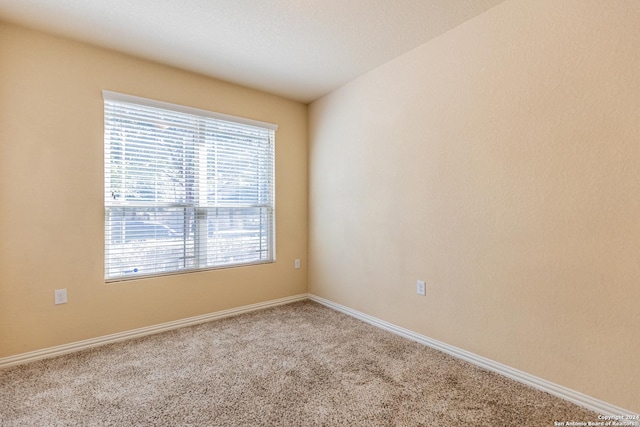 unfurnished room featuring carpet floors