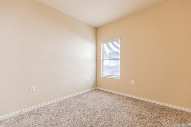 unfurnished room with carpet