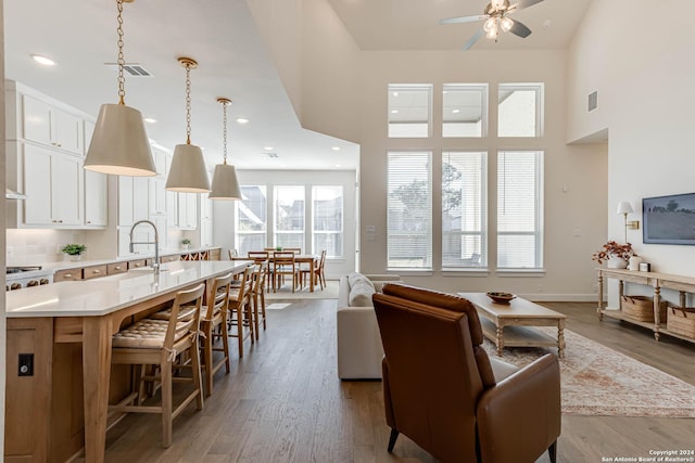 living room featuring ceiling fan and hardwood / wood-style flooring