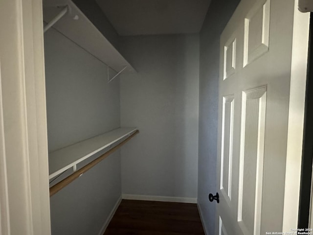 spacious closet with dark wood-type flooring