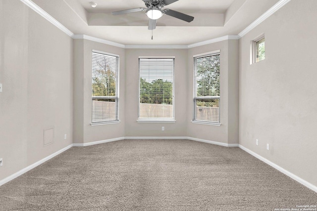 empty room with ceiling fan, carpet floors, and a tray ceiling