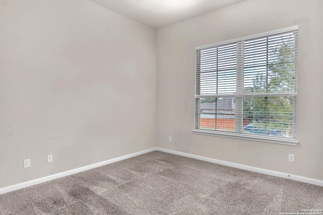 unfurnished room featuring carpet