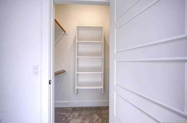 spacious closet with carpet flooring