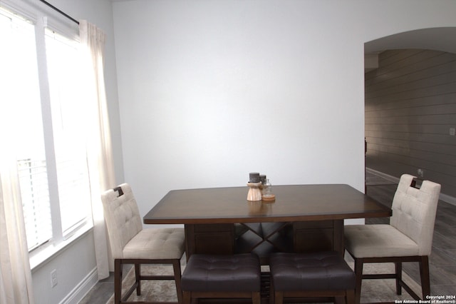 dining space featuring a healthy amount of sunlight