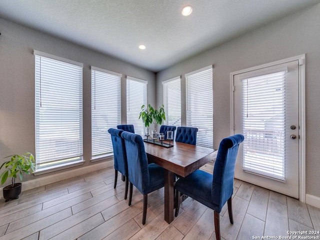 dining room with plenty of natural light