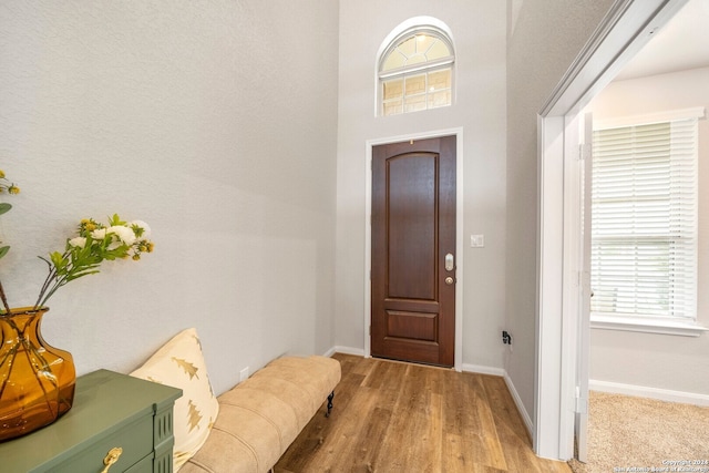 foyer entrance featuring light hardwood / wood-style floors