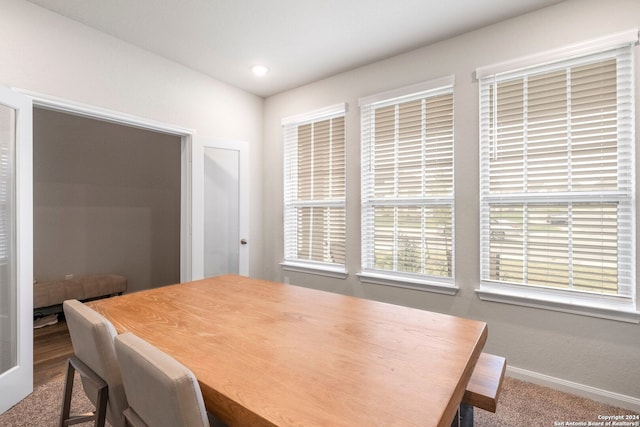 view of carpeted dining room