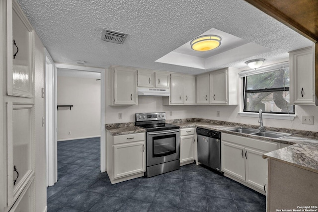 kitchen featuring white cabinets, appliances with stainless steel finishes, a tray ceiling, and sink