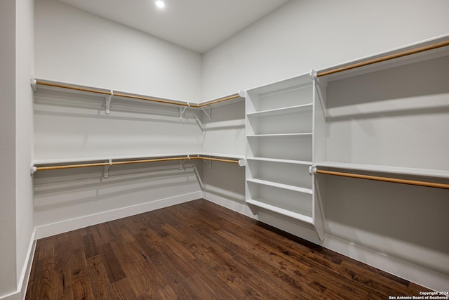 spacious closet featuring dark hardwood / wood-style flooring