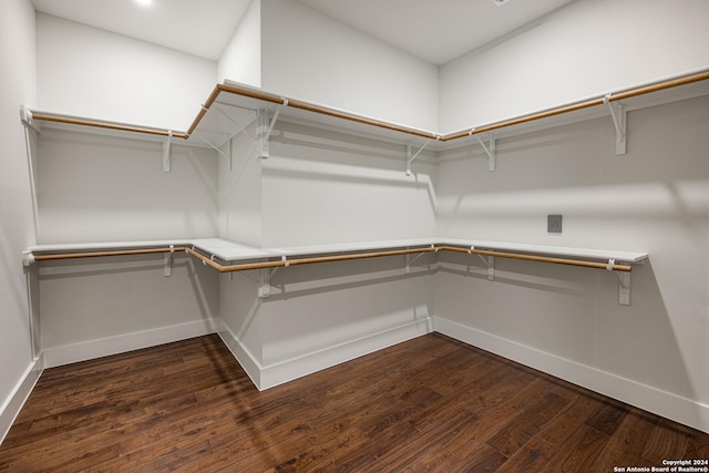 walk in closet with dark hardwood / wood-style flooring