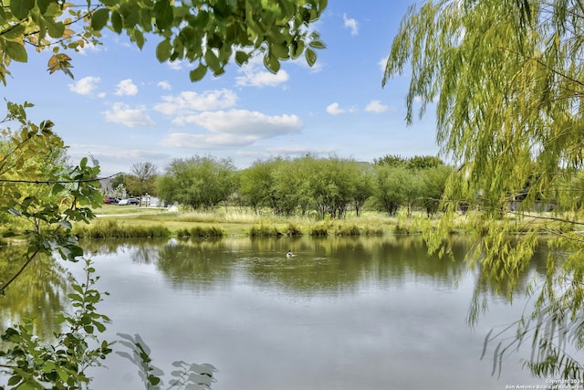 property view of water