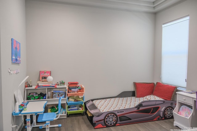 bedroom with hardwood / wood-style flooring