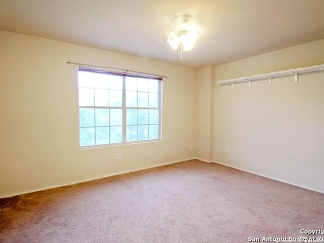 spare room with carpet flooring