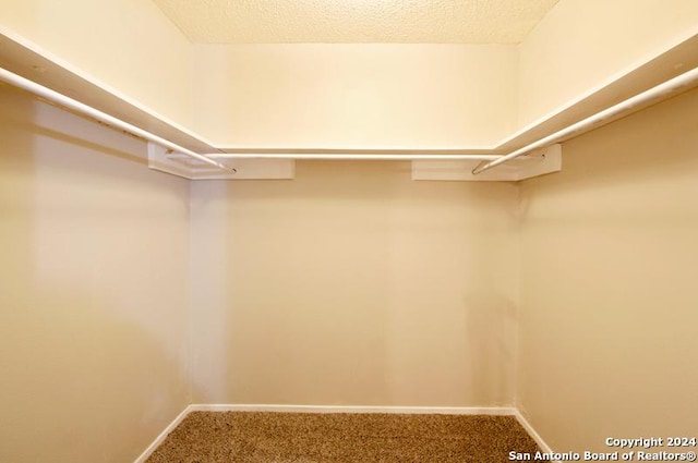 walk in closet with carpet floors