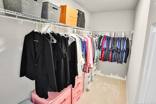 spacious closet featuring carpet