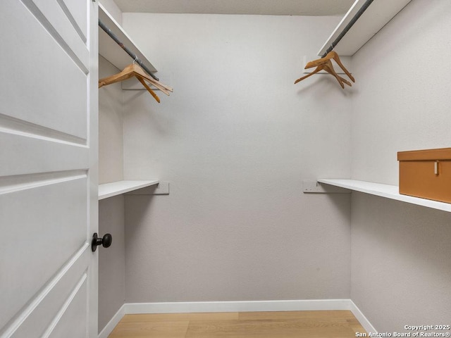 walk in closet with light wood-type flooring