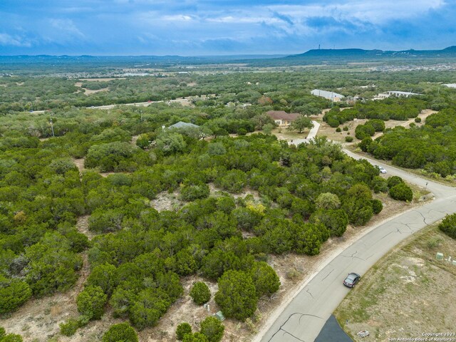 3103 Black Gold Ct, Bulverde, TX 78163