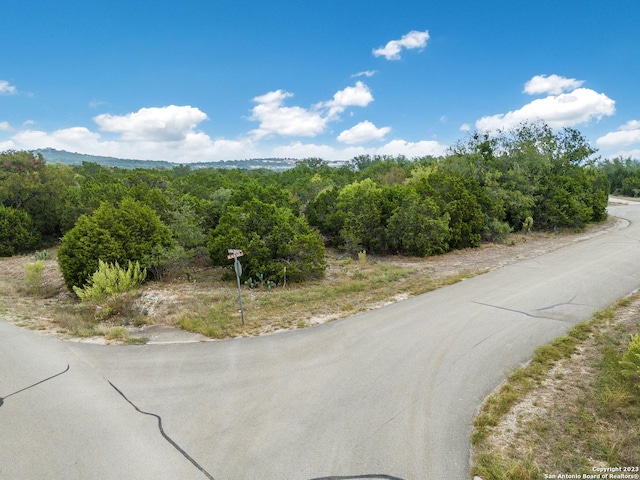 3103 Black Gold Ct, Bulverde, TX 78163