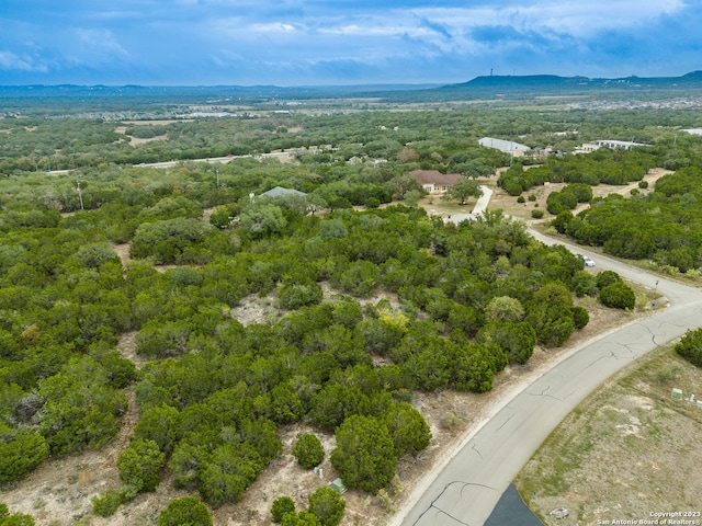 3103 Black Gold Ct, Bulverde, TX 78163