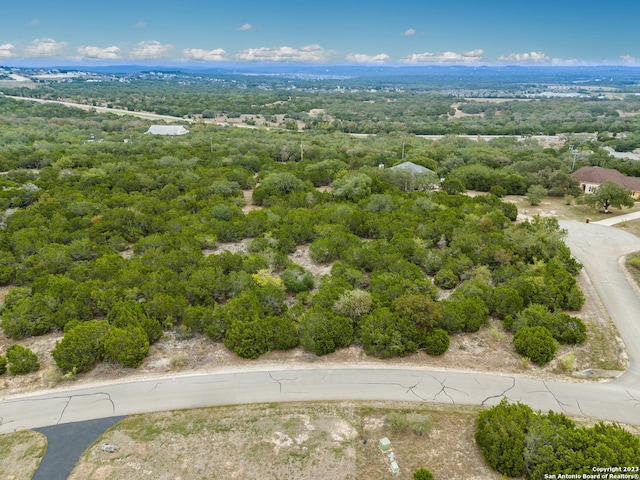 3103 Black Gold Ct, Bulverde, TX 78163