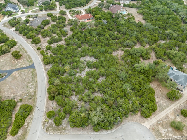 3103 Black Gold Ct, Bulverde, TX 78163