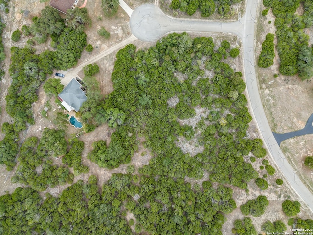 3103 Black Gold Ct, Bulverde, TX 78163