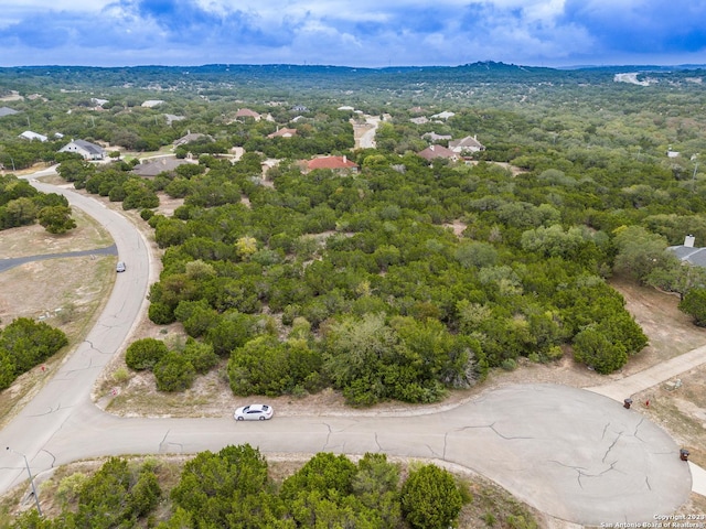 3103 Black Gold Ct, Bulverde, TX 78163