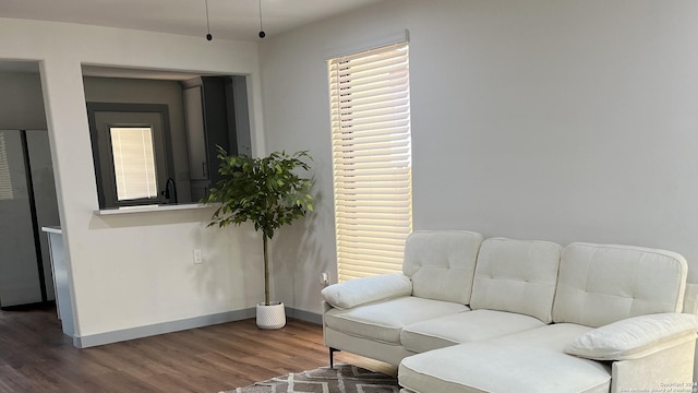 living room with wood-type flooring