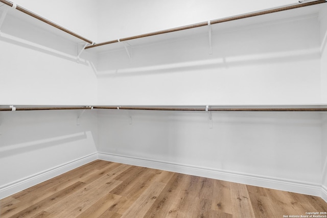 spacious closet with hardwood / wood-style floors