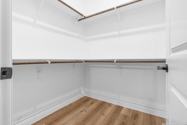 spacious closet featuring wood-type flooring