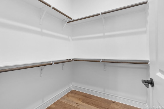 spacious closet featuring hardwood / wood-style floors