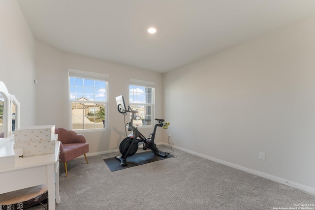 workout room with carpet