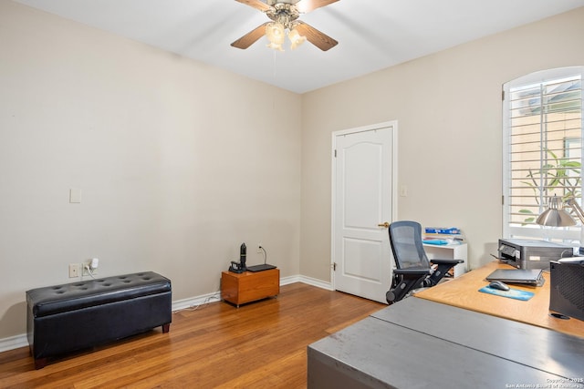 office space with hardwood / wood-style flooring and ceiling fan