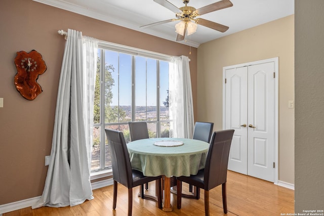 dining room with ceiling fan and light wood-type flooring