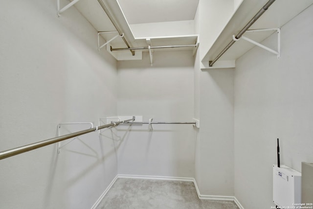 spacious closet with light colored carpet