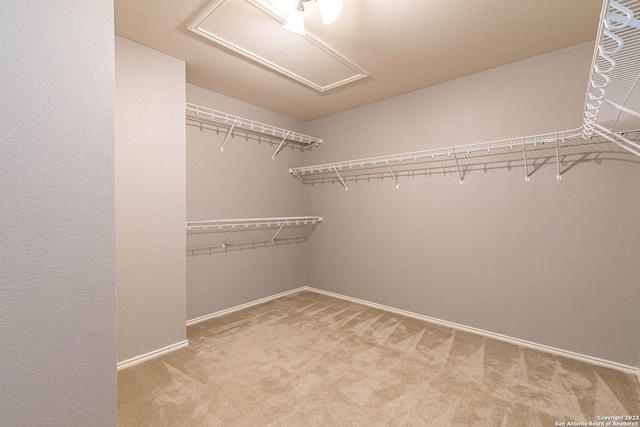 spacious closet with carpet