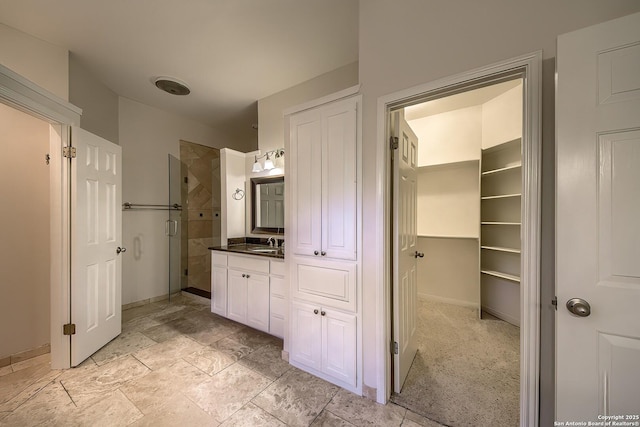 bathroom with vanity and a shower with shower door