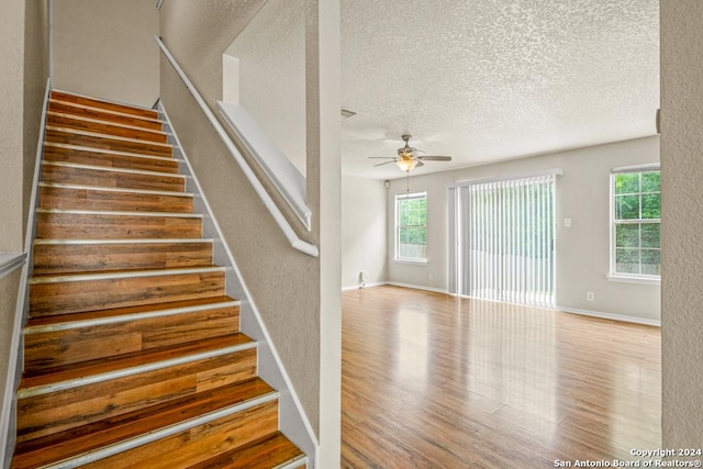 staircase featuring ceiling fan, wood-type flooring, and a textured ceiling