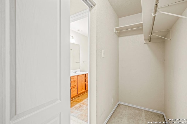 view of spacious closet