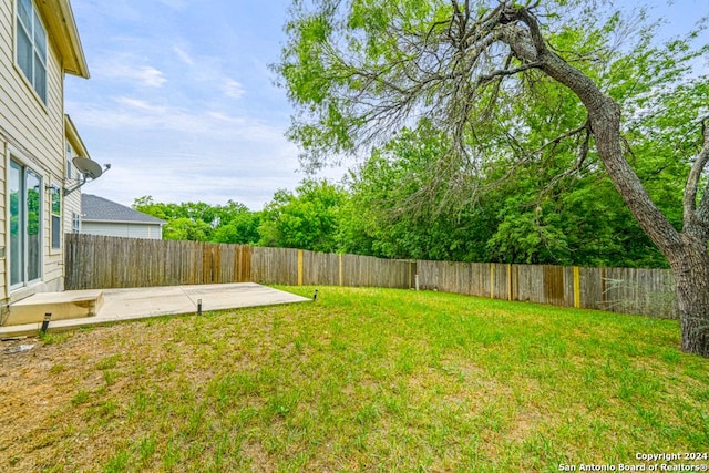 view of yard featuring a patio