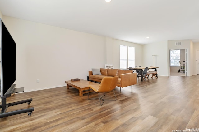 living room featuring light wood-type flooring