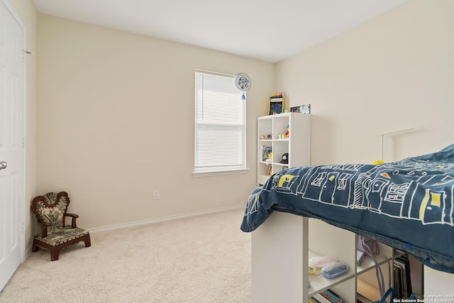 bedroom with carpet floors