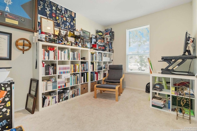 sitting room featuring carpet flooring