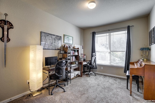 carpeted office with a textured ceiling and a healthy amount of sunlight